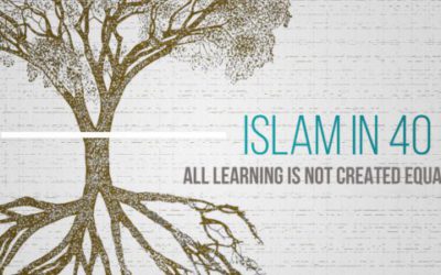All Learning is Not Created Equal